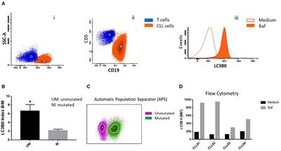 Increased Expression of Autophagy Protein LC3 in Two Patients With Progressing Chronic Lymphocytic Leukemia